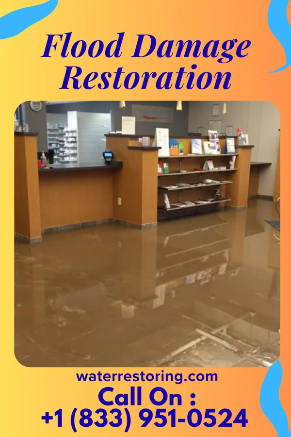 Flood Damage Restoration in Dotyville, OK