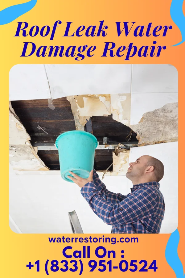Roof Leak Water Damage Repair in Dotyville, OK