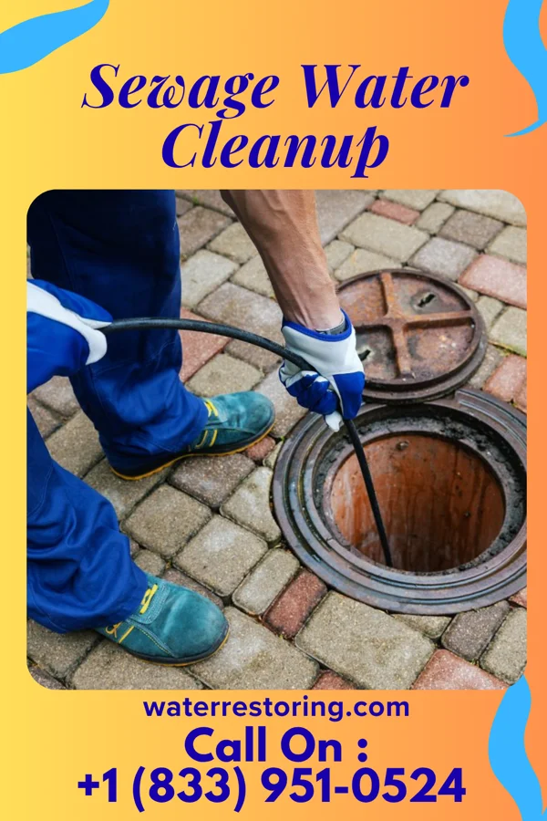 Sewage Water Cleanup in Dotyville, OK